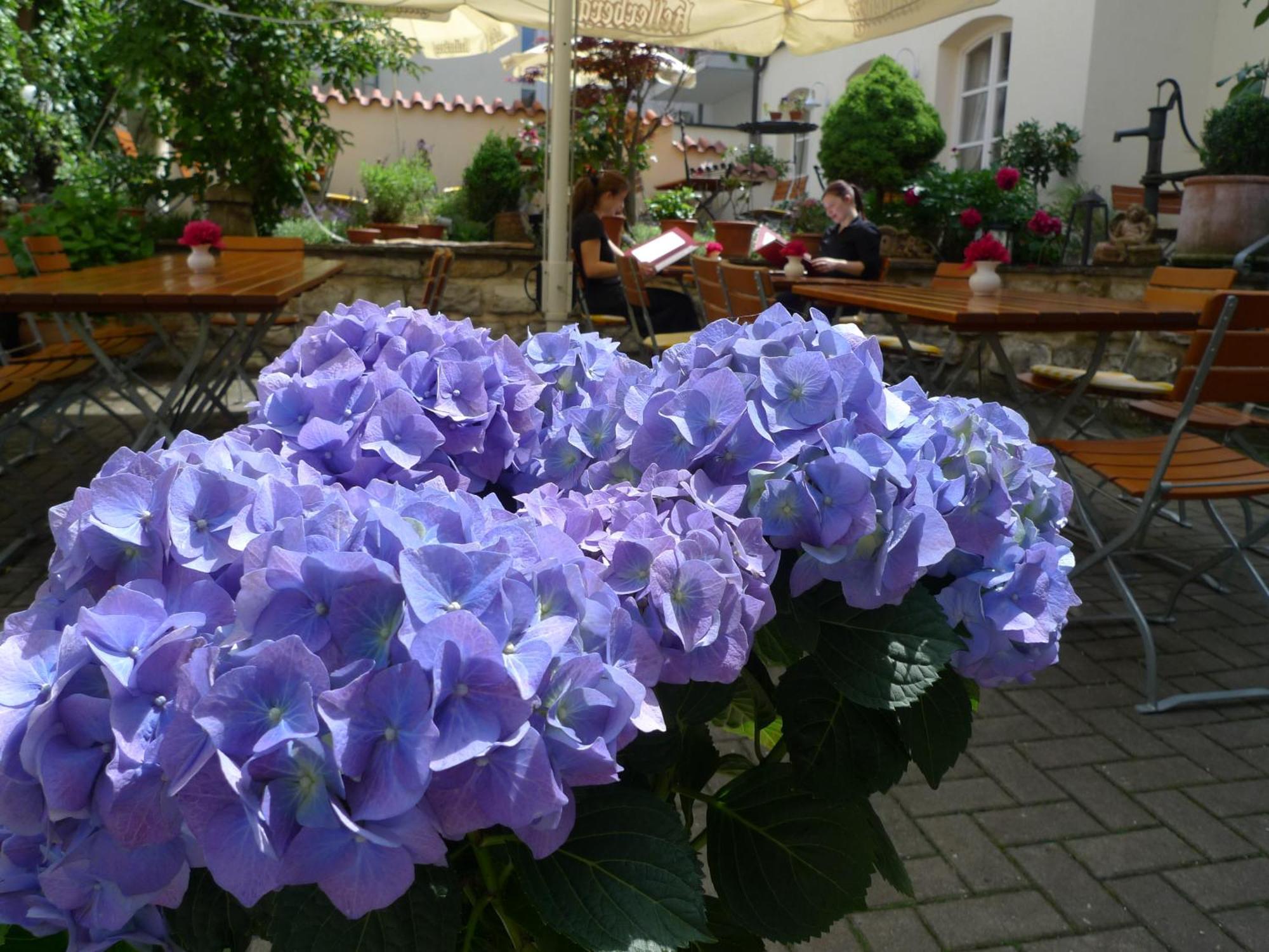 Hotel-Restaurant Roter Ochsen Lauchheim Eksteriør billede